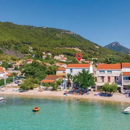 Estera By Guide * 스톤