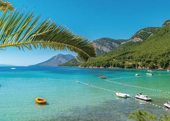 Estera By Guide 스톤