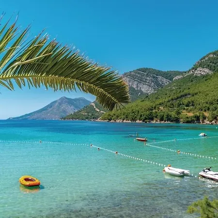 Estera By Guide Žuljana